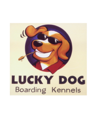 Lucky Dog Boarding Kennels